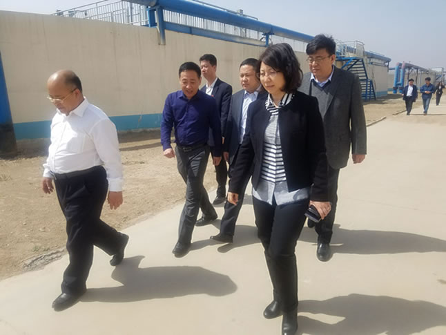 ��ί���I(l��ng)��(d��o)�z��ָ��(d��o)����